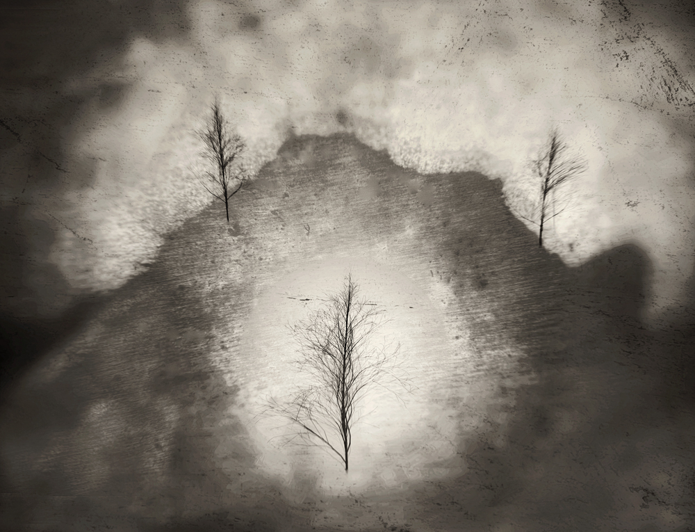 A photograph by Robert Sulkin called Earth Poem. It is black and white and shows the outlines of tiny trees