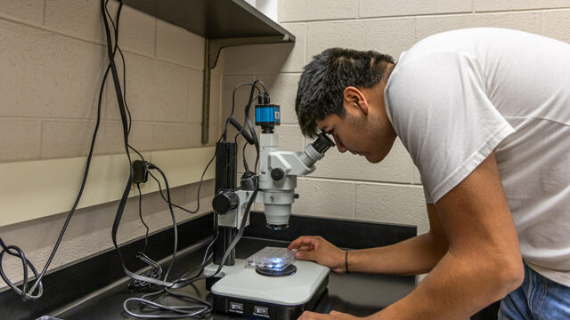 Student looking through microscope for a biochemistry research project