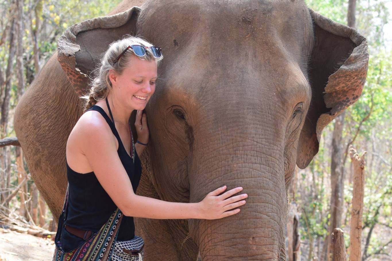 Woman petting elephant while studying abroad