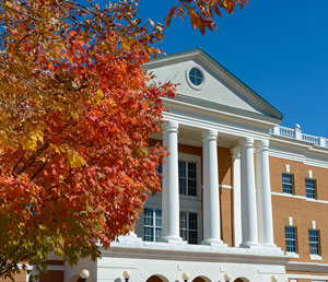 McKinney with fall leaves and blue sky