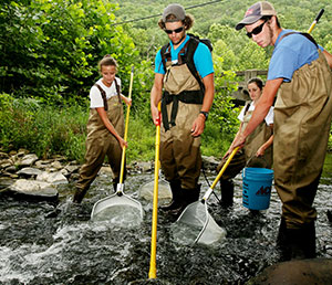 Students with waders and nets in river