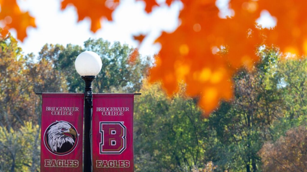 Zoom background of fall leaves in the foreground and B-C athletics banner in the background