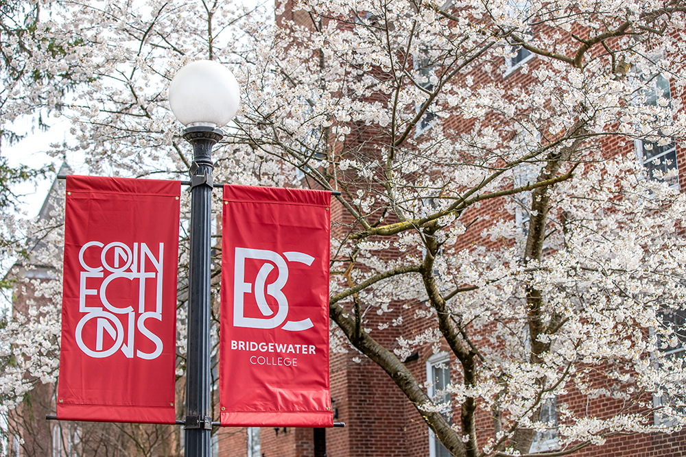 Crimson Bridgewater College Connections banners in front of pink flowering tree