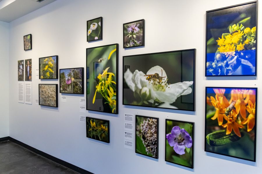 Wall of photos by Scott Jost